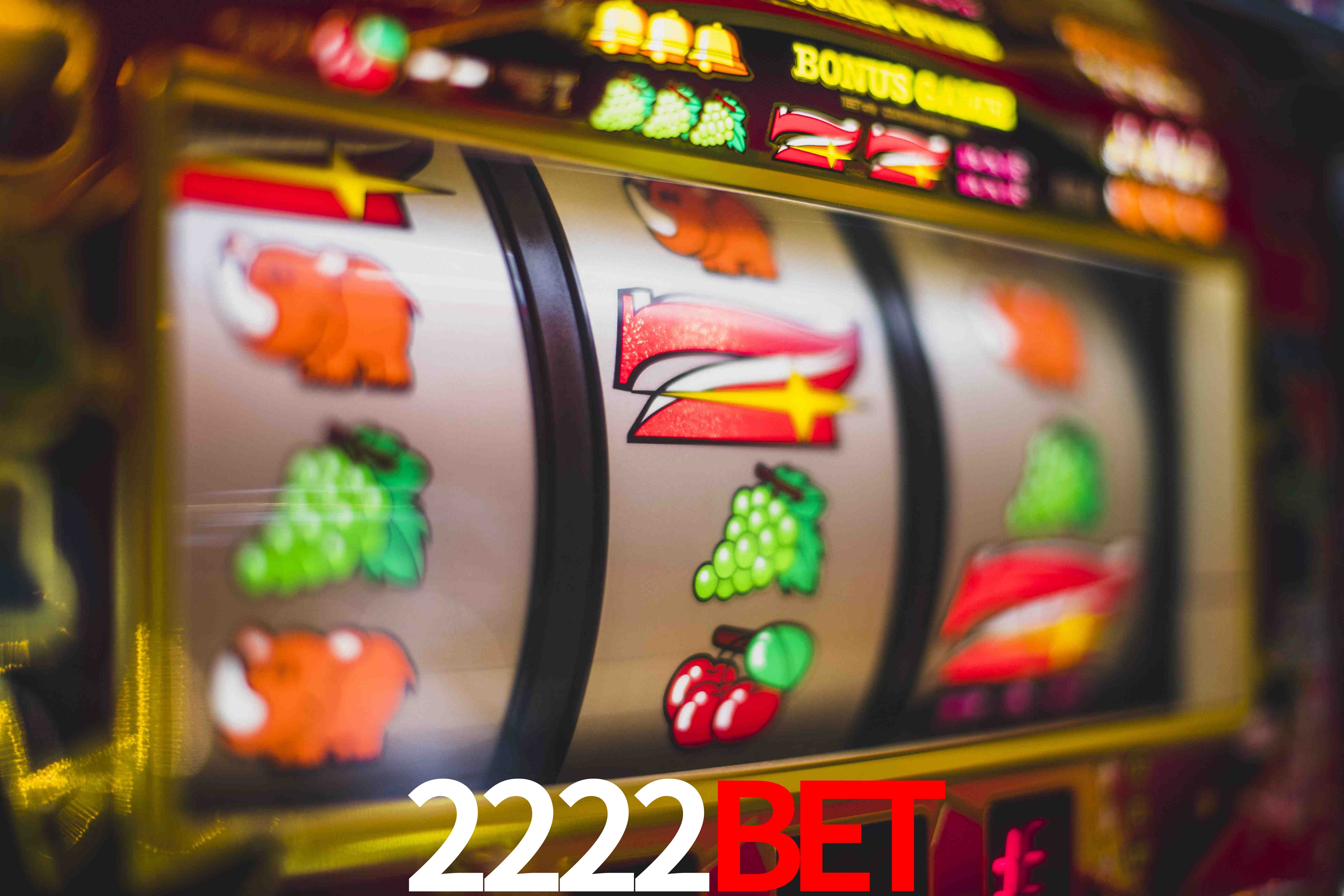 Sports Statistics 2222Bet